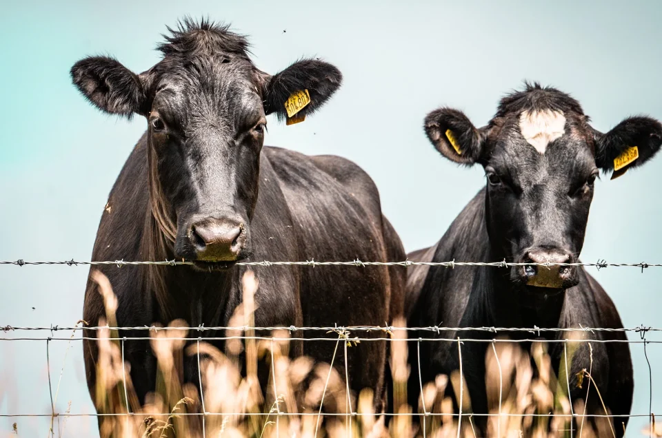 Tamron Touch and Try Day — 150–500mm at ProHides, Wiltshire.
